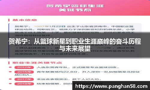 贺希宁：从篮球新星到职业生涯巅峰的奋斗历程与未来展望